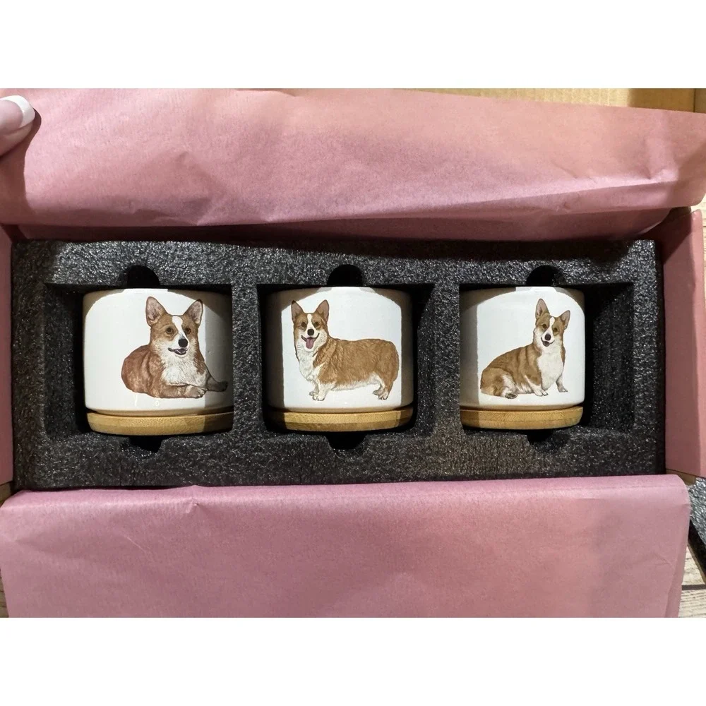 Set of 3 Corgi Succulent Planters Mini Dog Pet Ceramic Pots Gift Giftagirl NEW